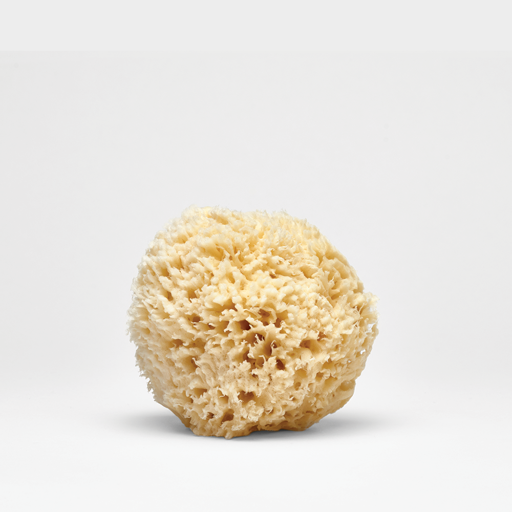  HartFelt Delicate Skin Wool Sea Sponge 4 in, Real Natural  Sponges for Body and Face Gentle Care