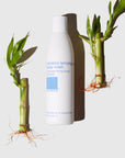 Bamboo Lemongrass Body Wash product bottle next to stalks of bamboo.