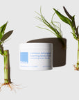 Bamboo Lemongrass Foaming Body Scrub product jar next to stalks of bamboo.